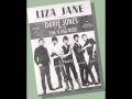 DAVIE JONES AND THE KING BEES - liza jane ...