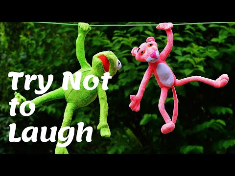How Funniest Animals - Best Of The 2021 Funny Animal Videos try not to laugh #Funny #KavishaVlogs