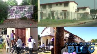 Grape Street Watts Crips History (South Central Los Angeles)