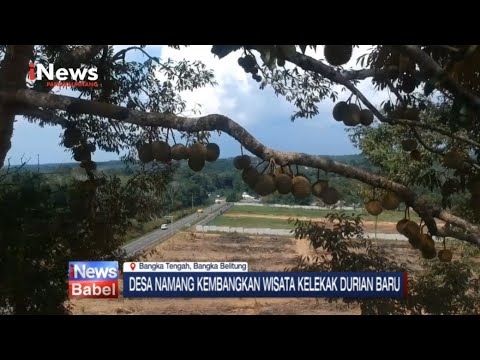 DESA NAMANG KEMBANGKAN WISATA KELEKAK DURIAN BARU