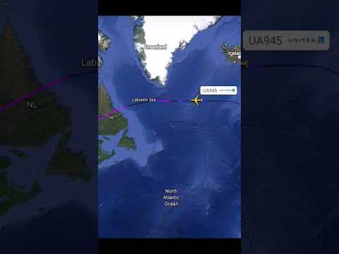 Frankfurt to Chicago ✈️United #united #chicago