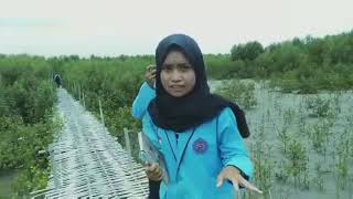 preview picture of video 'Observasi pantai mangrove desa sriminosari'