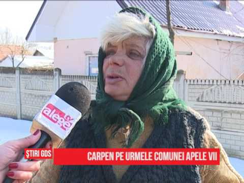 Carpen pe urmele comunei Apele Vii