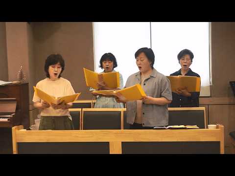 주님 당신은 사랑의 빛