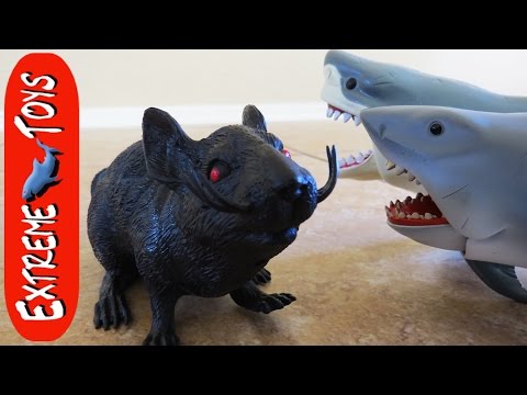 Giant Rat Attack! Scary Rat Toy Attacks the Boys and the Shark Toys. Video