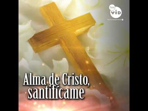 Oracion Alma de Cristo