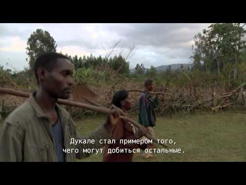 Dukale's Dream - Trailer