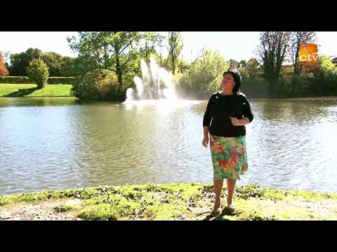 Ligia Bodea   Multumesc