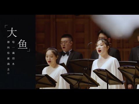合唱版《大鱼》，和周深不一样的感觉，空灵广阔！Theme song of Big Fish & Begonia cover by XIAN Symphony  Orchestra Chorus