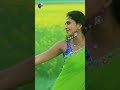 Nee Thavam Vertical Song Don Tamil Movie Nagarjuna Raghava Lawrence Anushka Shetty