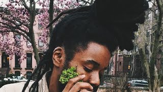 Nesta- I love leaves (Audio)