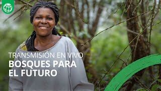 Bosques para el futuro #LivablePlanet
