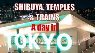 Carnival Transpacific Cruise Port - Exploring Tokyo’s Sights (& surviving the train system!)