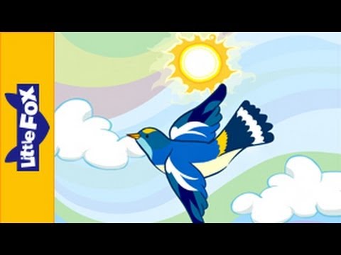 Little Fox: All the birds have come again here the