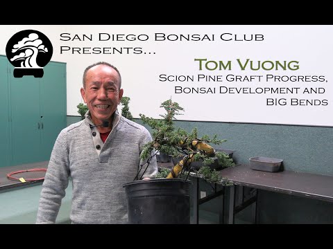 Tom Vuong - SDBC February 2025
