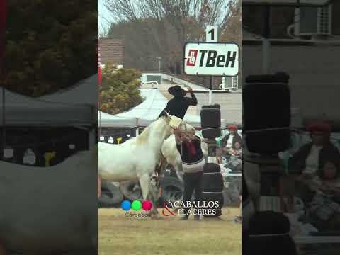 Campo de la Jineteada 89° Fiesta Nacional de la Tradición Gaucha en #ElArañado 🇦🇷 #CaballosyPlaceres