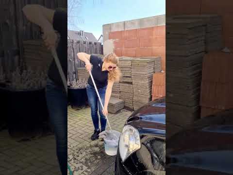 Carwash Serie von Prowin