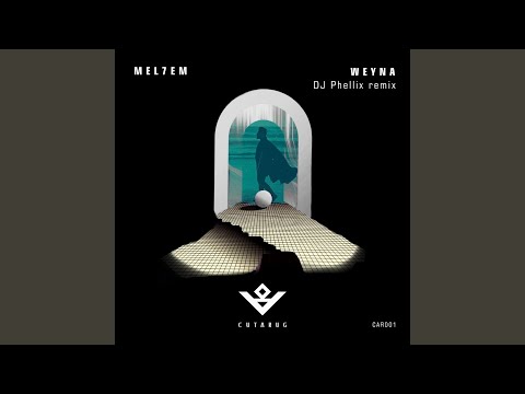 Weyna (DJ Phellix Remix)