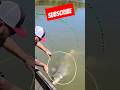 Vicious Alligator Gar Rope Alligatorgar Captmiltonnieto Bigfish Fyp Fishing Viral Fish Gar