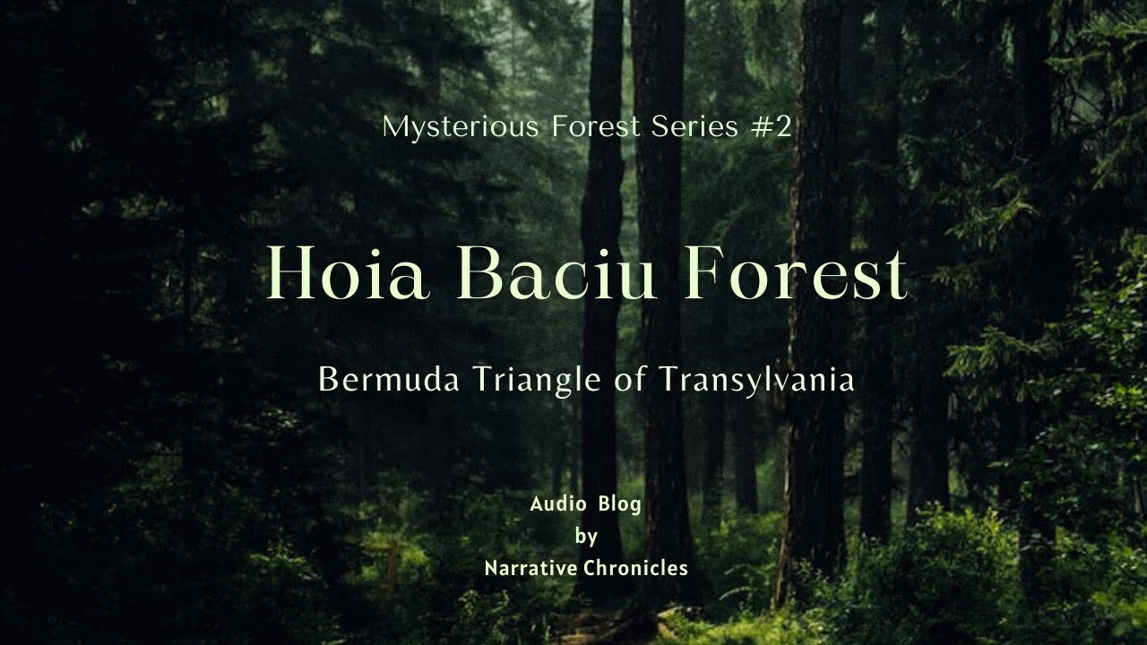 Hoia Baciu Forest : Bermuda Triangle of Transylvania,Romania