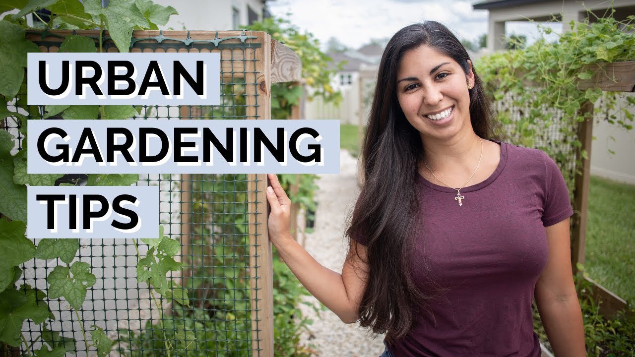 Urban Vegetable Gardening for Beginners