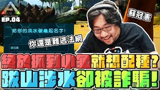 [閒聊] 國動抓到小龜就想配種？