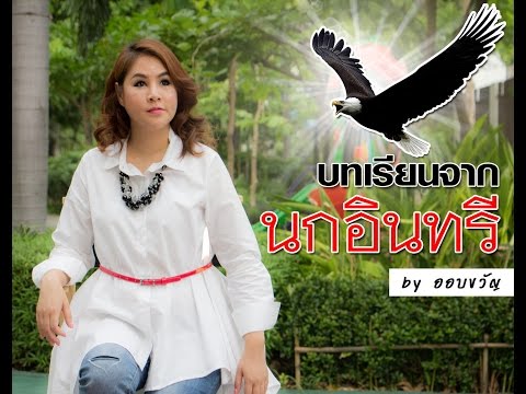 ผู้หญิงยื่นเต้นชายคนหนึ่ง ซื้อเชื้อโรคม้าในการซื้อ Permian