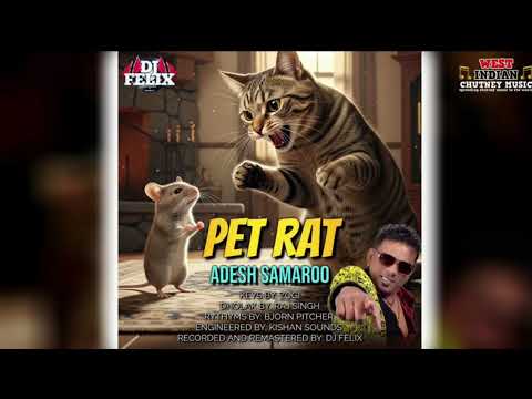 Adesh Samaroo - Pet Rat [Live Remastered] (2025Traditional Chutney)