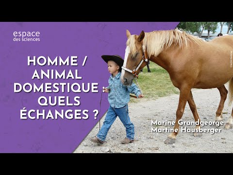 , title : '🐴 [Marine Grandgeorge et Martine Hausberger] Homme / Animal domestique : quels échanges ?'