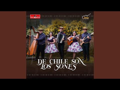 Bello Amor - Cuecas Chilenas