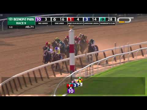 Bee Jersey - 2018 - The Runhappy Metropolitan Handicap en Espanol