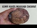 Crazy Hand Tapping On This Dry Coconut ASMR
