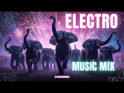 [playlist] EDM으로 평일도 미친 파티처럼! | 200BPM 하이텐션 비트 컬렉션 | 200BPM High-Energy EDM Playlist