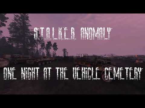 S.T.A.L.K.E.R. Anomaly Ambience - One Night at the Vehicle Cemetery