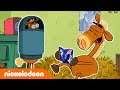 Hier is Pony | De grappigste Pony momenten | Nickelodeon Nederlands