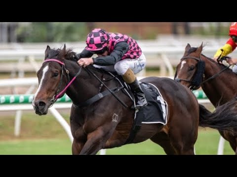 THE THRILLER FROM CHINCHILLA | ROTHFIRE FEATURE | THE EVEREST 2021 |