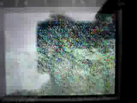 TV-DX 12.08.08 sporadic-e - VHF chR2 UT1 from UKR on a Casio