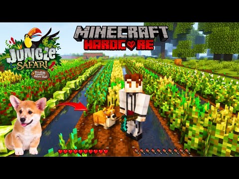 We Built 🌾ADVANCED FARM And Found CUTE CORGI DOG In Jungle Safari SMP || Minecraft [HINDI]