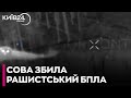 🦉Сова збила російський дрон у Донецькій області