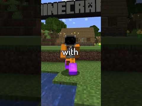 Only Minecraft experts would know about this (theory/secret)