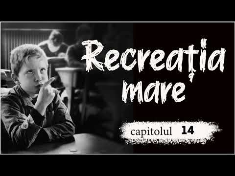 Recreația Mare de Mircea Sântimbreanu - Capitolul 14