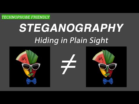 The Art of Hiding In Plain Sight - Steganography
