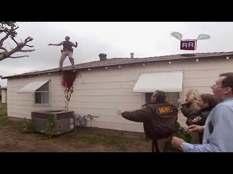 Reno 911! Cat on the Roof