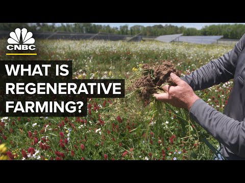 Will Carbon Credits Change Farming?