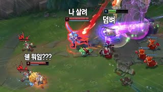 하드카운터 상대 빌드(vs 크산테, 하이머딩거)