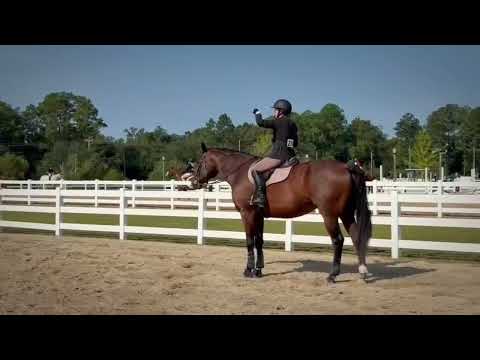 Love Language video 2