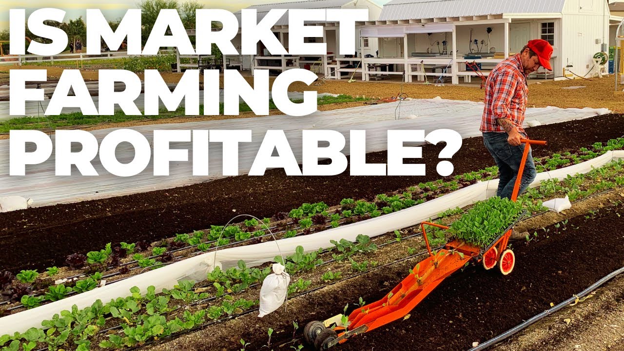 Market Gardening Profits Exposed: The Truth About Profits in Small-Scale Farming