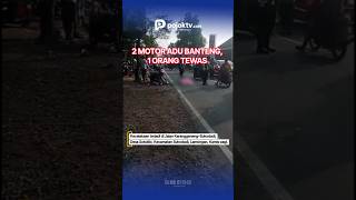 GAGAL SALIP, MOTOR ADU BANTENG DI LAMONGAN, 1 ORANG TEWAS