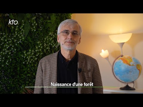 Naissance d’une forêt