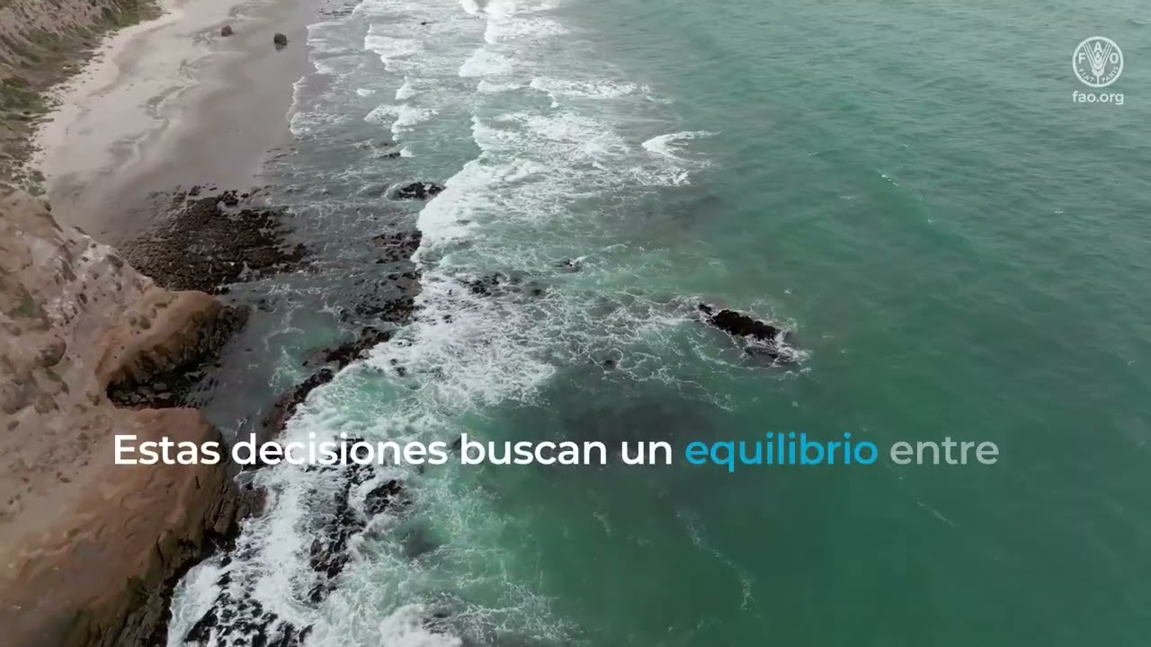 Mareas de cambio: De la gobernanza marina y costera local a la nacional en Chile